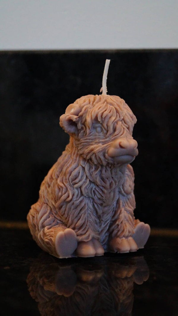 Maison Matielle - Élune