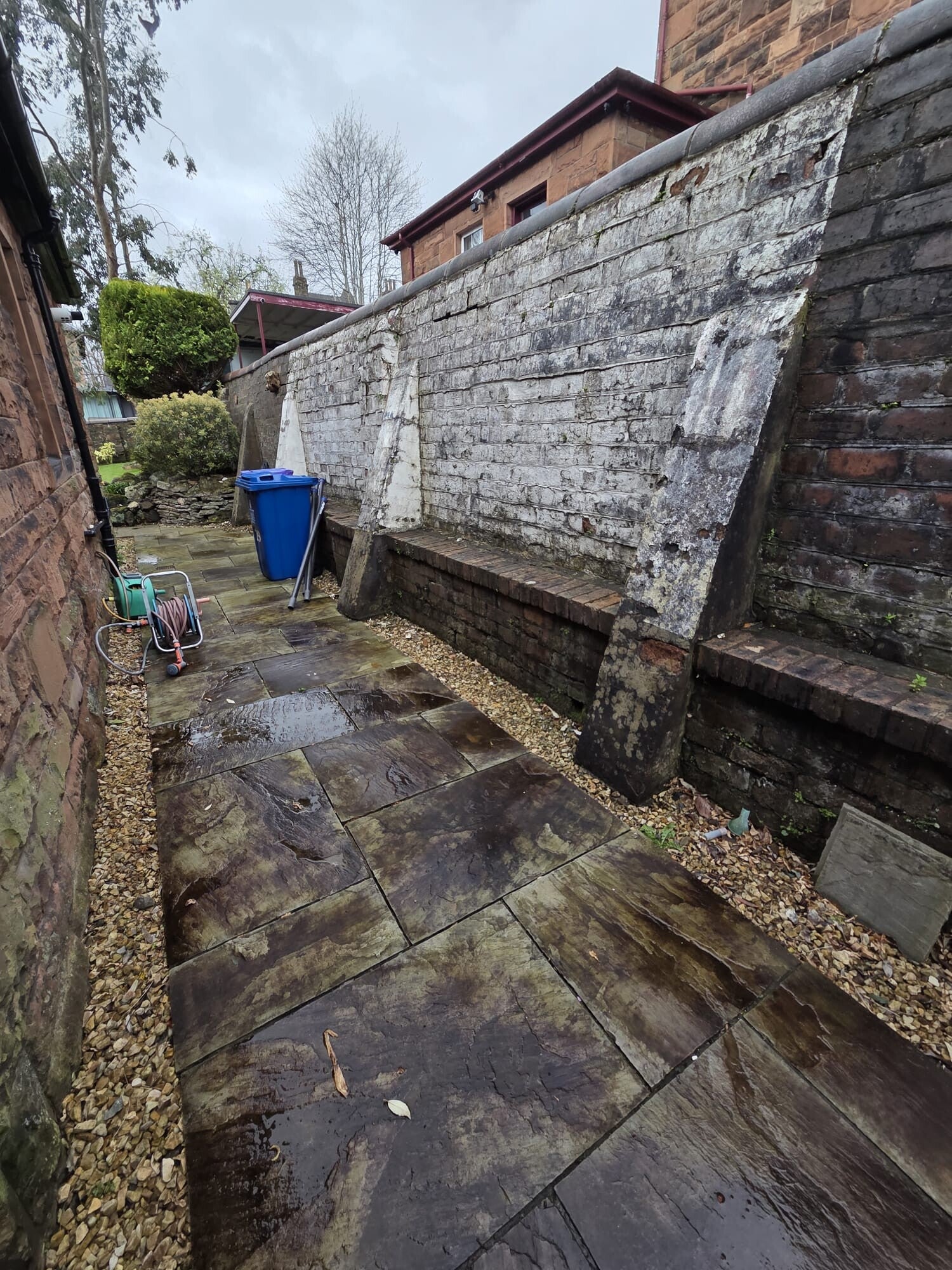 c3781607-a7f5-4a1c-9415-00d5184b78b1-standard.jpg