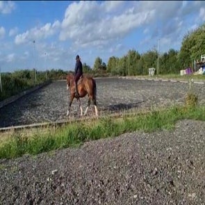 image0-6.jpeg