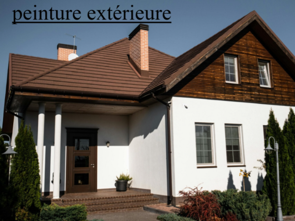 Devis gratuit peinture intérieur extérieur boiserie fenêtre garde-corps portail