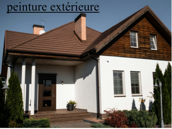 Devis peinture extérieure portail ravalement 