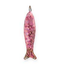 Pink Sardine