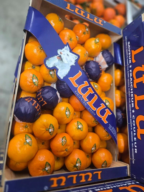 Clémentine LULU gros calibre