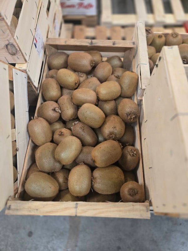 Kiwi vert Français