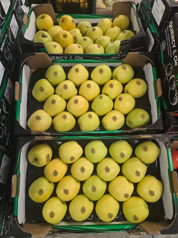 Pomme golden plateau