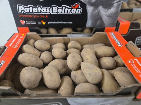 Pomme de terre Beltran