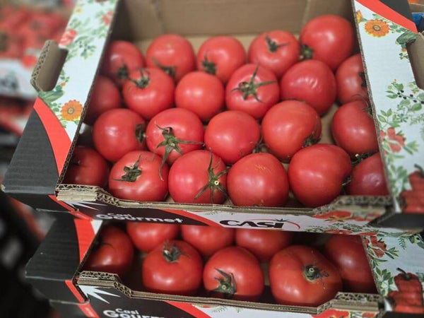 Tomate ronde rose casi