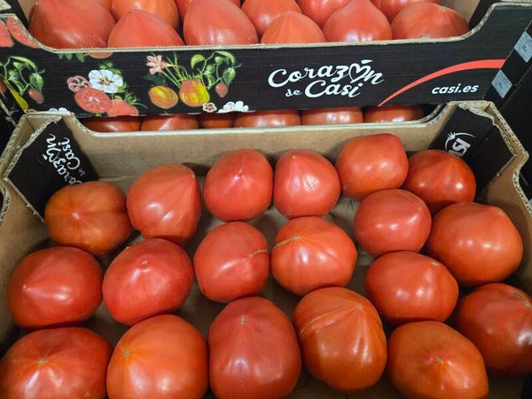 Tomate coeur de boeuf Casi