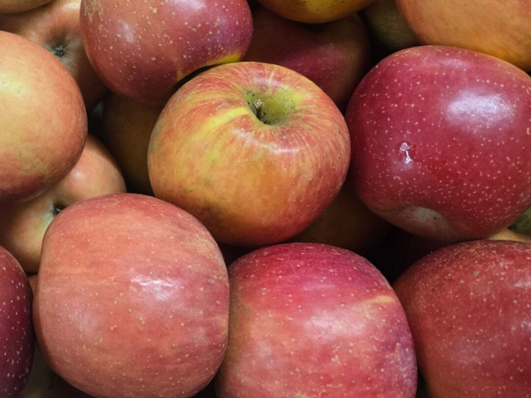 Pomme Fuji