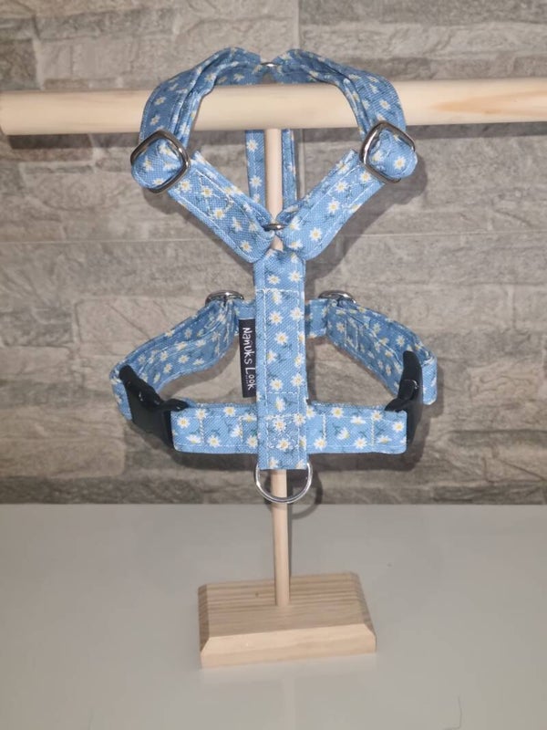 Geschirr Daisy Flower