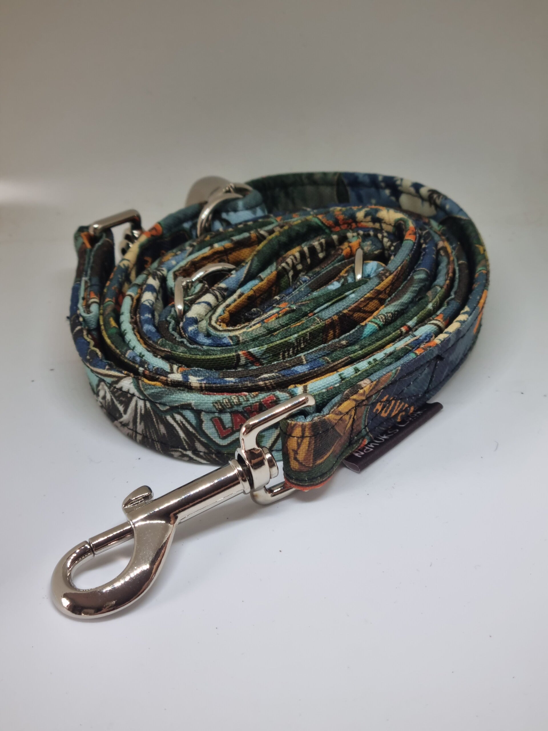 Leine Adventure Time