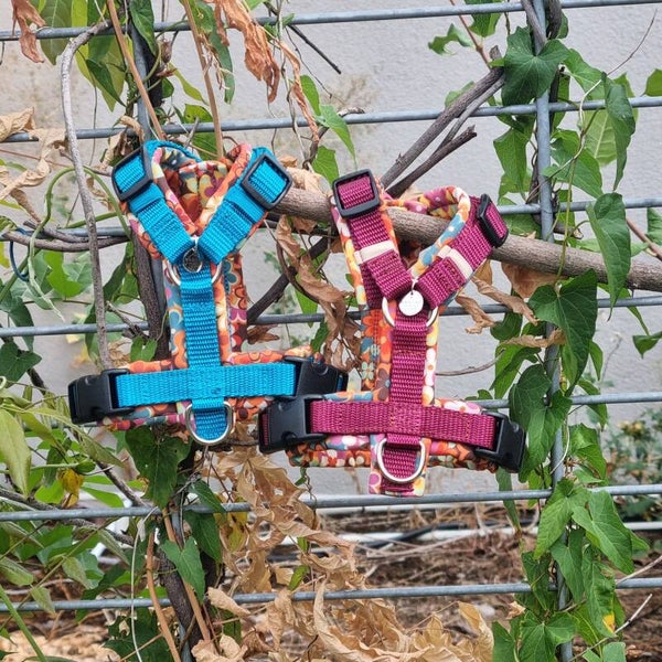 Softgeschirr Groovy Garden
