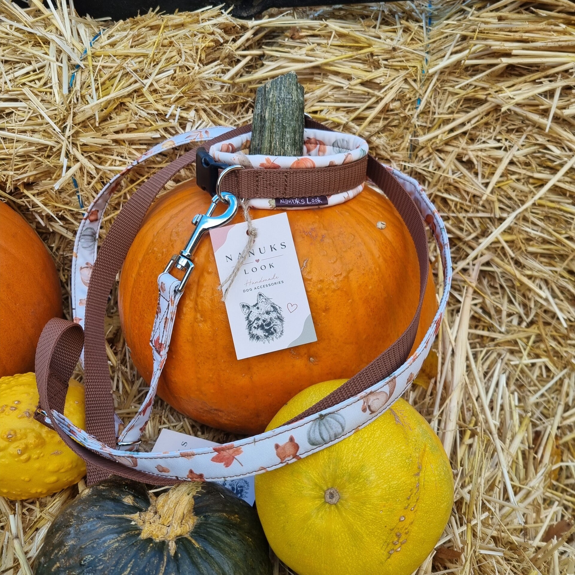 Leine – Autumn Friends