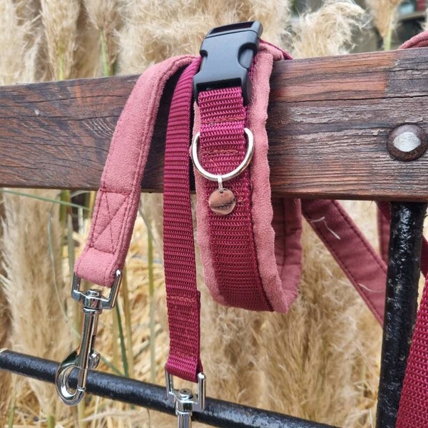 Gepolstertes Halsband – Marsala x Bordeaux