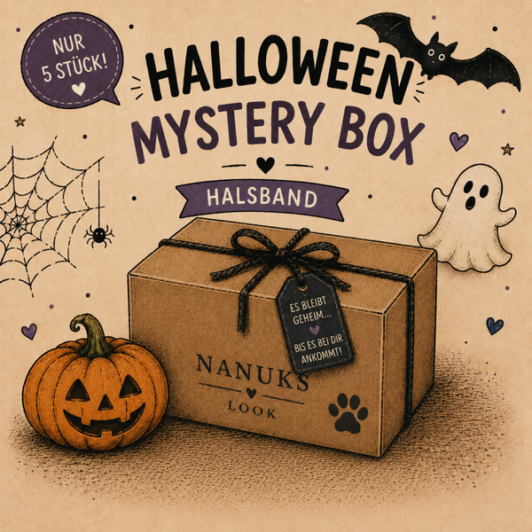 🎃 Halloween Mystery Box – Halsband