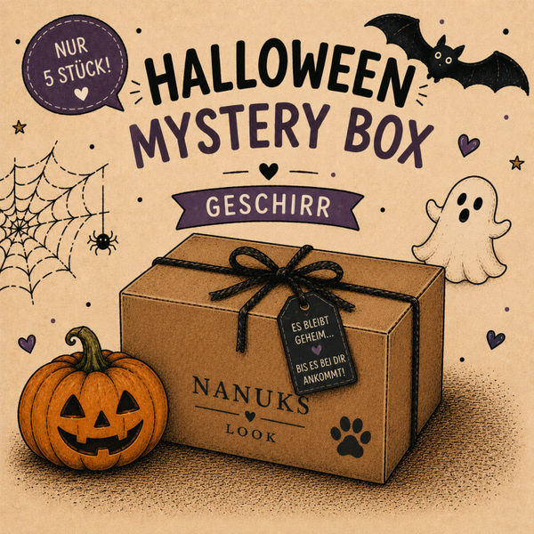 🎃 Halloween Mystery Box – Geschirr