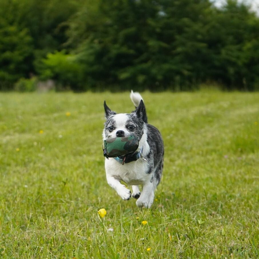 Futterdummy Hunter Camo