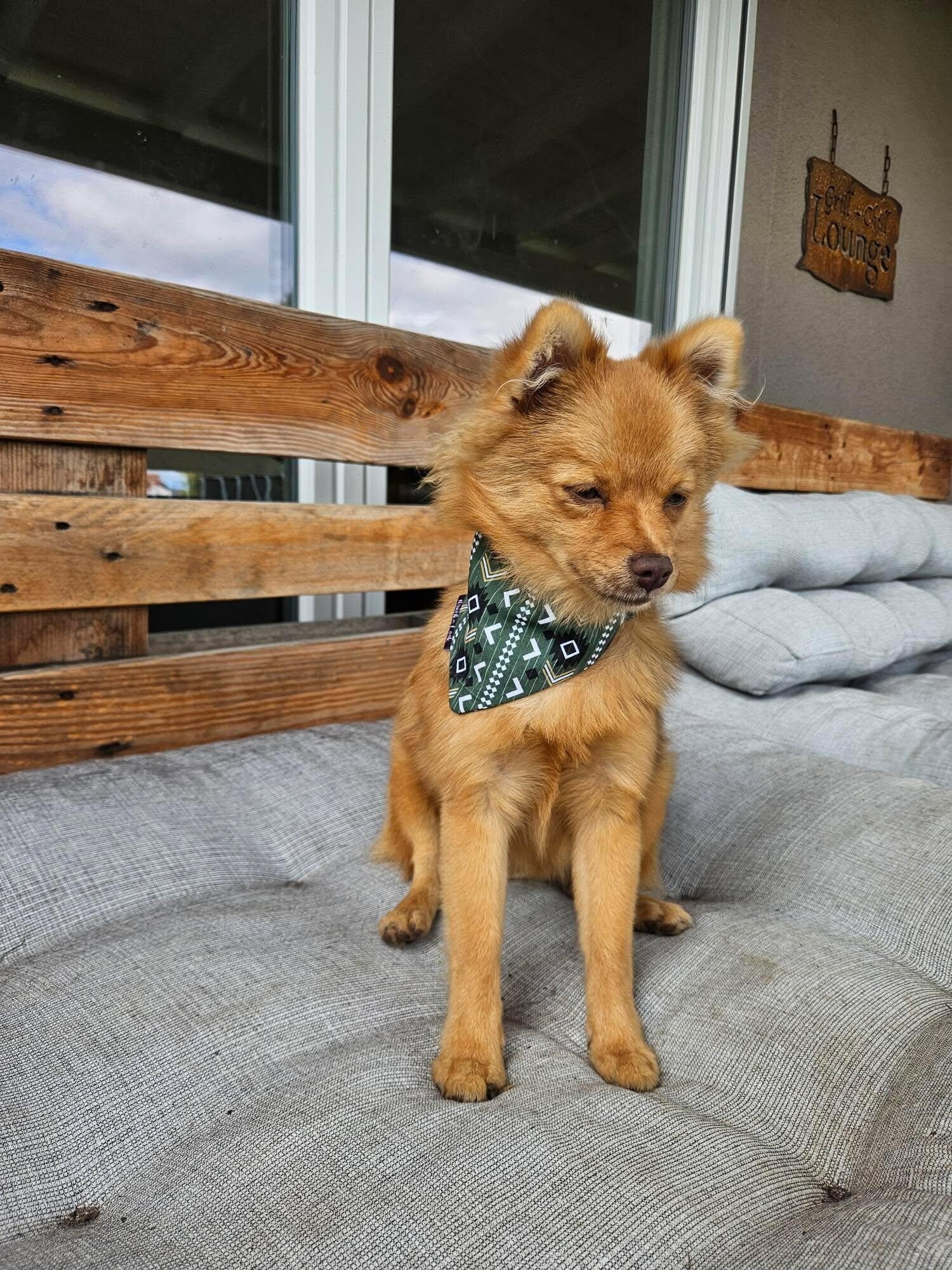 Scrunchie Dog Bandana Nordic Forest