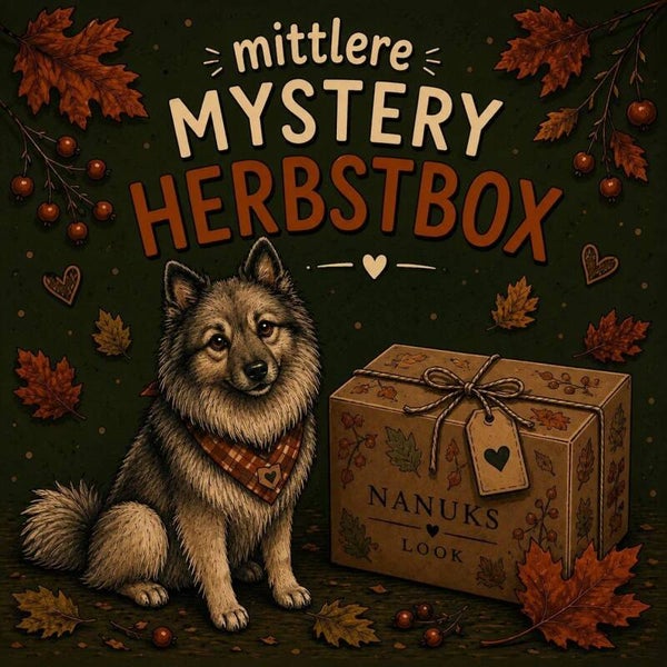 Mystery Herbstbox mittel