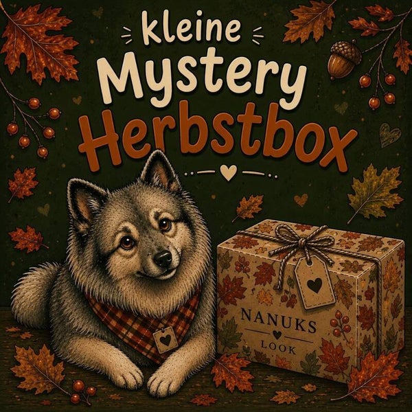 Mystery Herbstbox klein