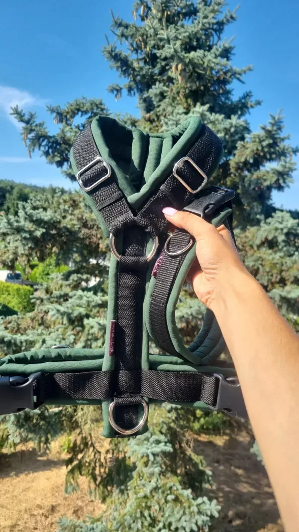 Softshell-Set Forest Green