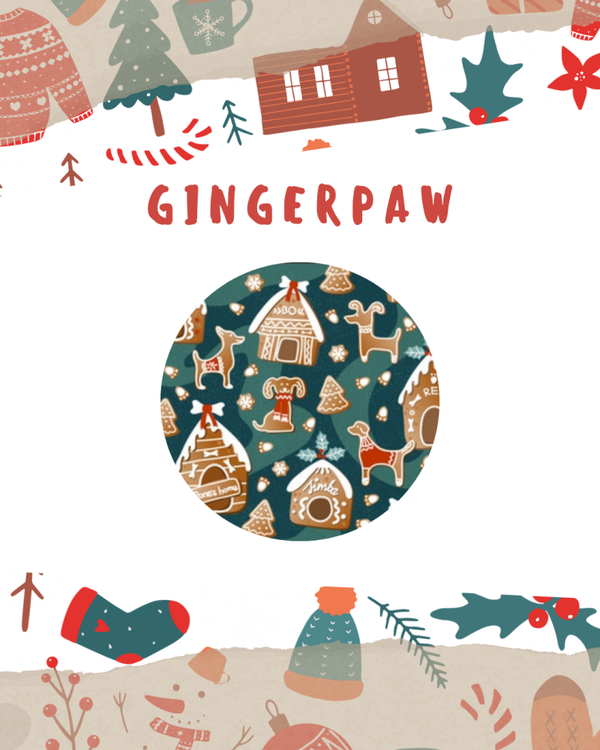 Geschirr GingerPaw