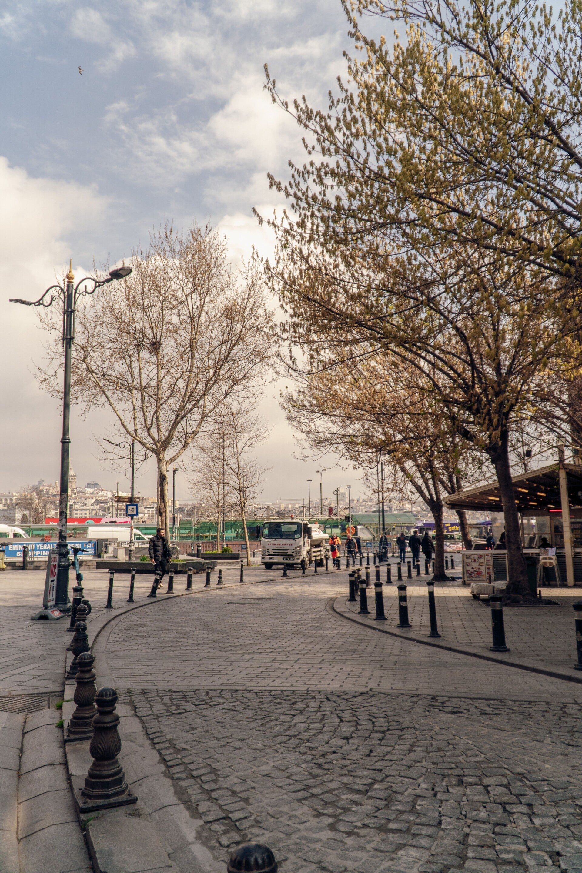 Cobblestone street with buildings and trees