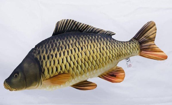 GABY FISH "THE COMMON CARP"