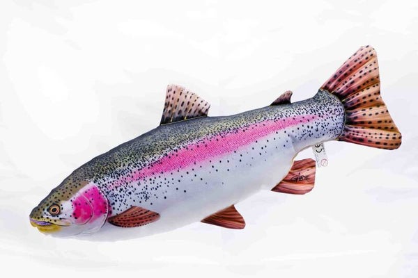 GABY FISH "THE RAINBOW TROUT"