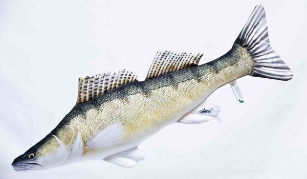 GABY FISH "THE ZANDER"