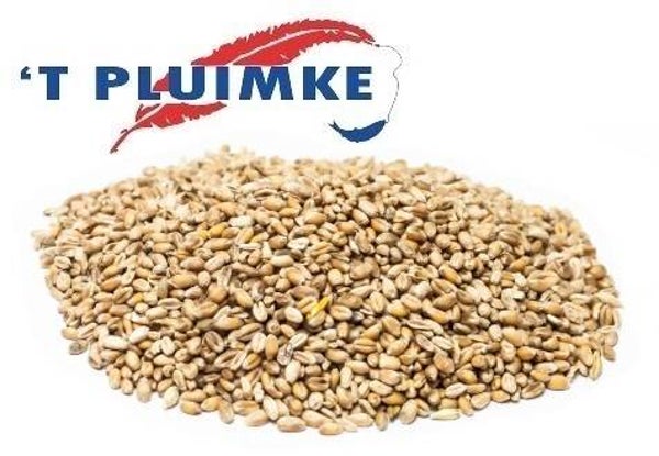 'T PLUIMKE (MAISON) TARWE 5KG