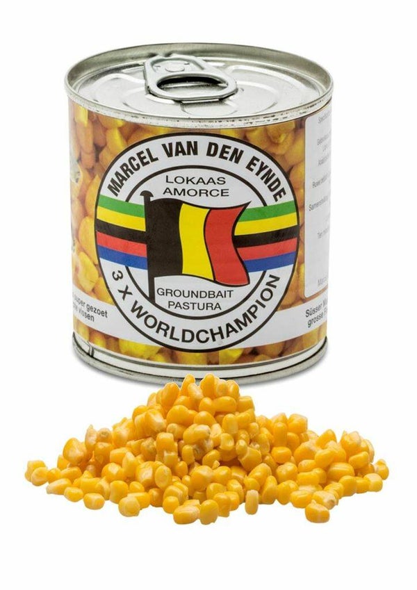 MARCEL VAN DEN EYNDE MAIS IN BLIK