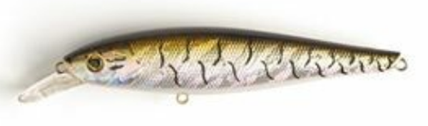 SEDUCTO LONG CATCHER SILVER-GOLD