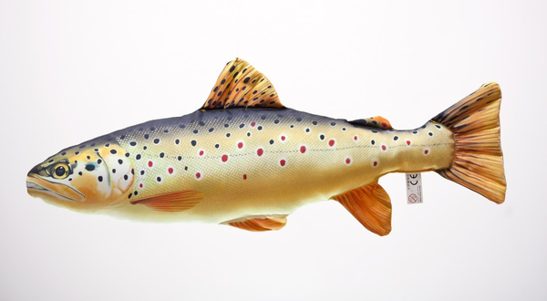 GABY FISH "THE BROWN TROUT"