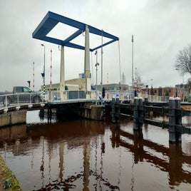 img20240113151918.jpg