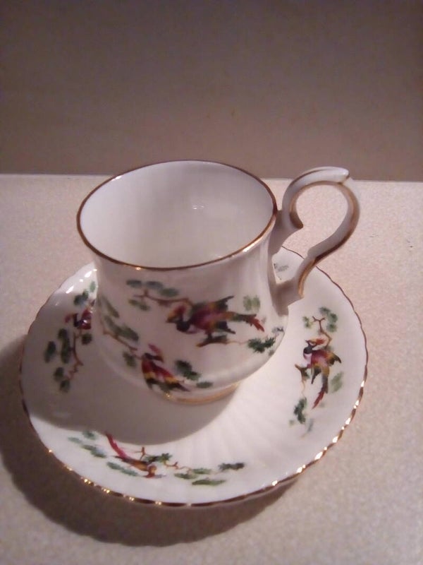 Kop en schotel Royal Windsor fine bone china England