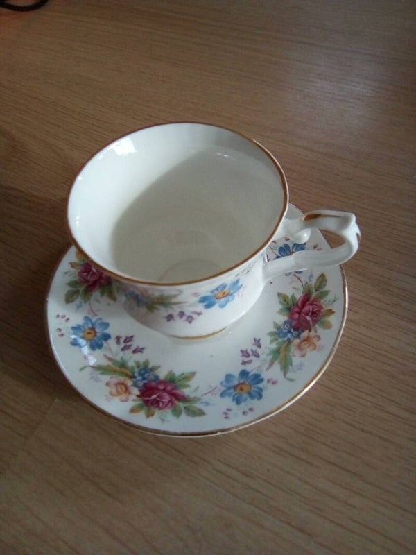 Kop en schotel Springfield 