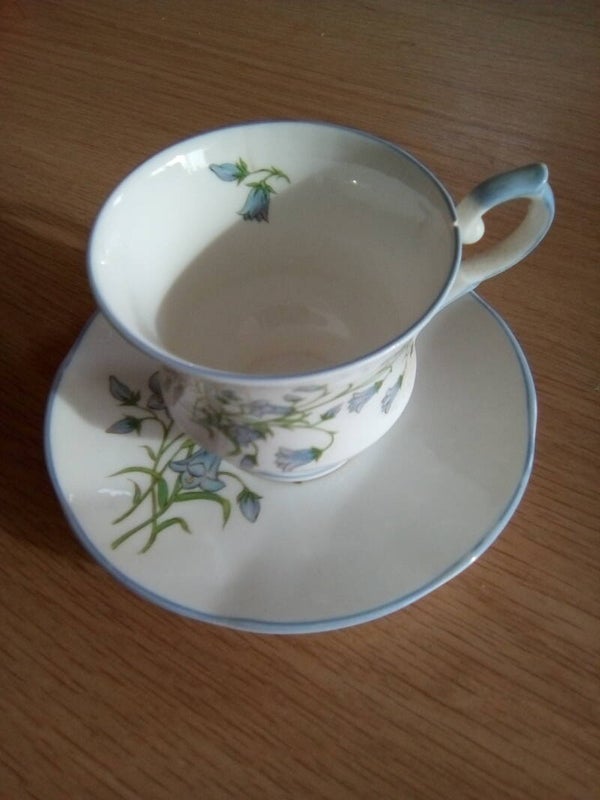 Kop en schotel Royal Essex bone China Made in England