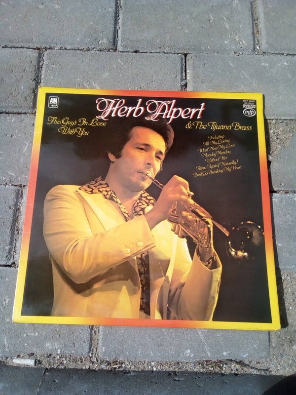 LP Herb Alpert this guy's in love with you