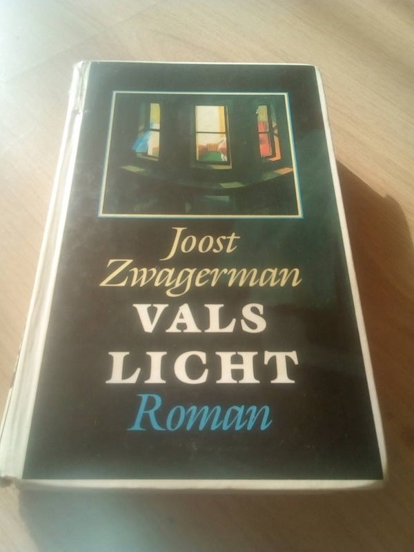 Joost Zwagerman - vals licht