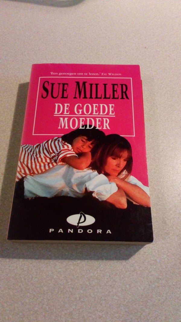 Sue Miller - De goede moeder