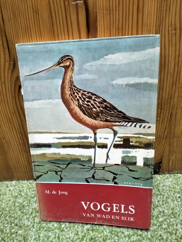 Vogels van wad en slik