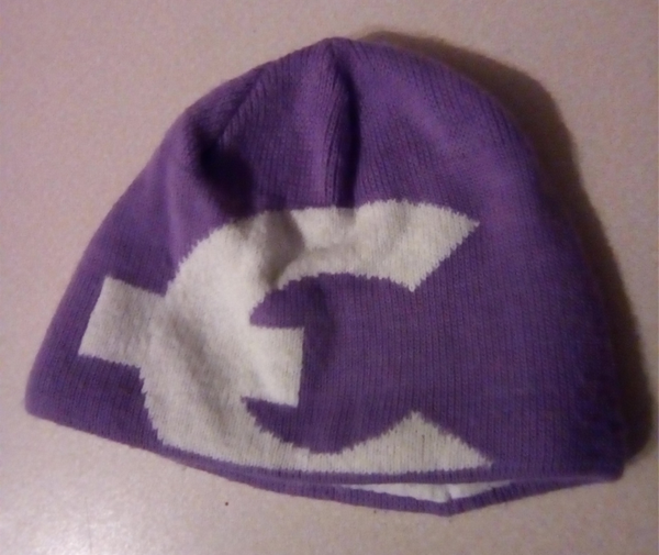 Muts - paars met euroteken 