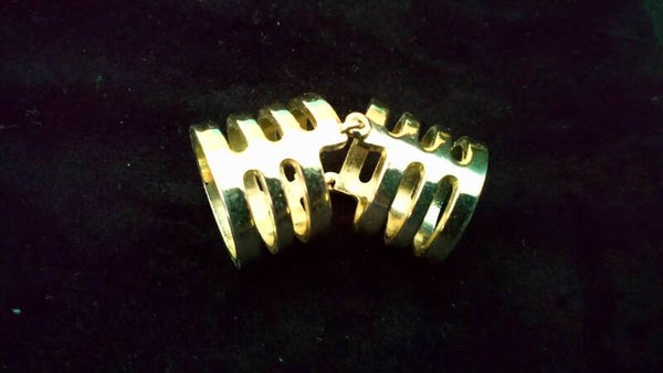 Ring schanierenring