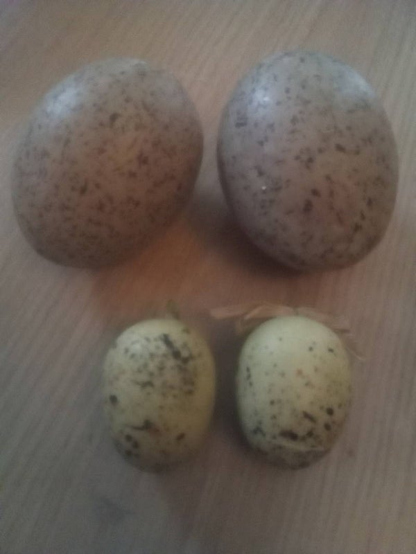 Kunst paaseieren zwaar