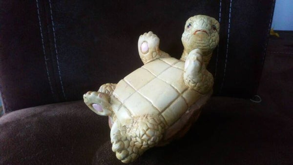 Keramik - Schildkröte