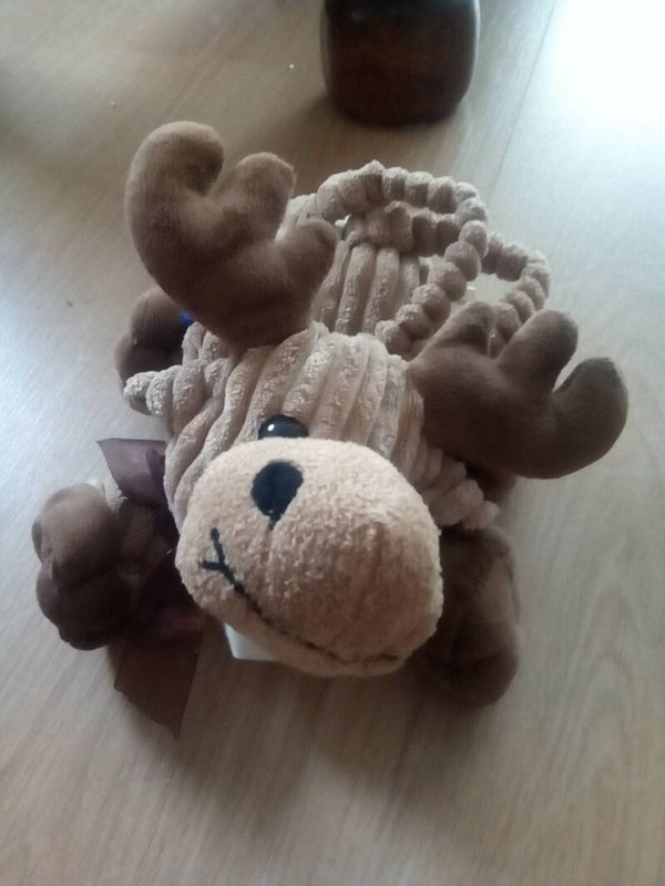 bag Moose