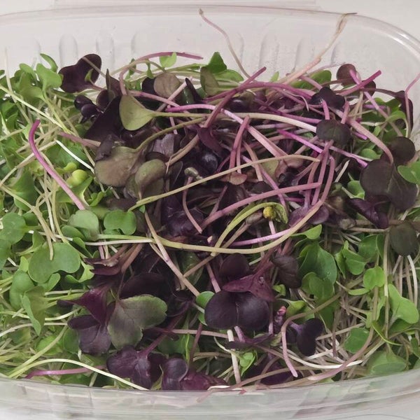 Microgreens Sampler1 2.5oz
