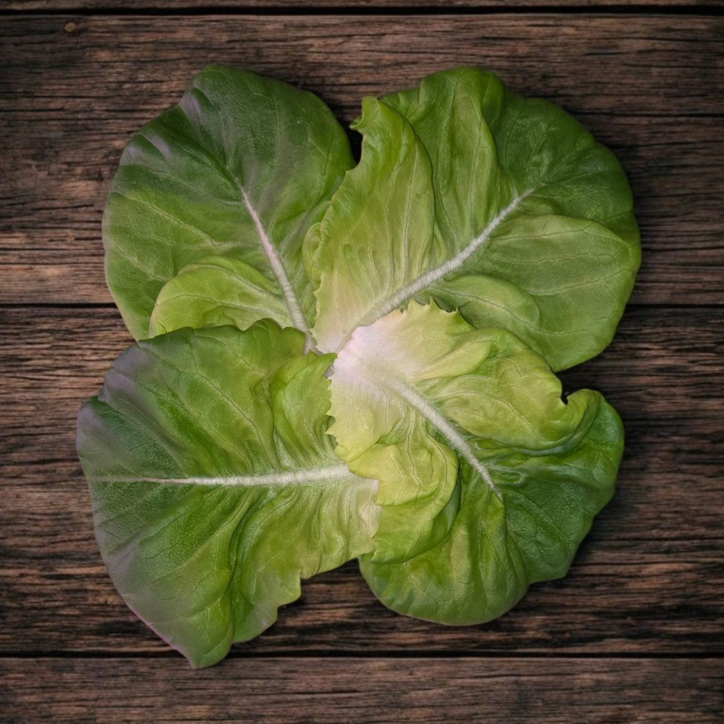 Salanova Green Butter Lettuce 8oz bag