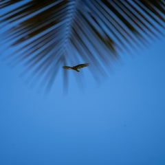 dsc01514-standard.jpg